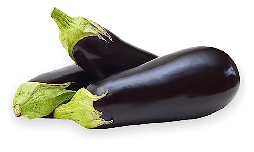 Veenas Fresh Dutch Aubergine | 500G | Brinjal | Dutch eggplant | 100% Fresh | Healthy Vegetable | Indian Origin - Click to Buy