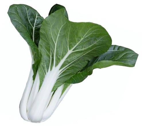 2025 Early Bird-Sow in Fall/Spring-4000 Bok Choy Seeds for Sprouting,Chinese Cabbage Seeds for Planting,Microgreen Seeds/Sprouting Seeds for Home Vegetable Garden.黑叶白菜 (Pak Choi White Stem, 10g) - Click to Buy